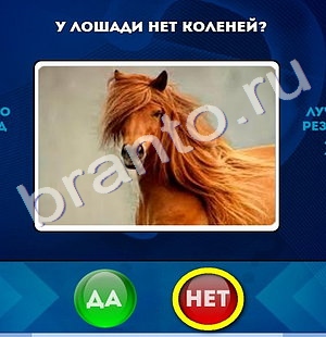 игра Да или Нет ответ на Уровень 730