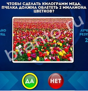 Одноклассники Да или Нет ответы Уровень 758