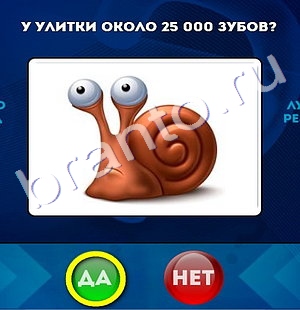 Да или Нет игра подсказки Уровень 764