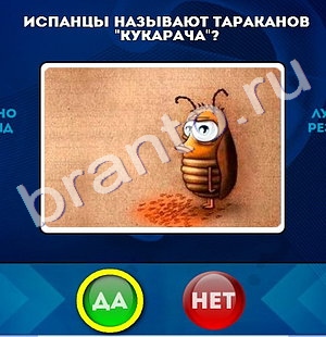 Да или Нет игра помощь Уровень 765