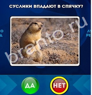 Да или Нет игра ответы Уровень 773
