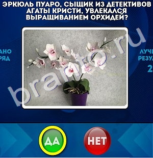 Помощь на игру ВК Да или Нет Уровень 784