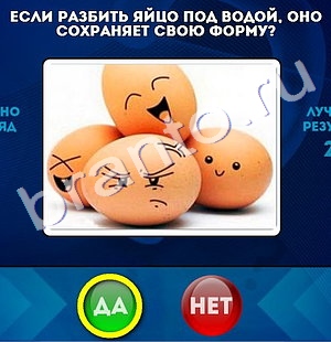 игра Да или Нет ответ на Уровень 790