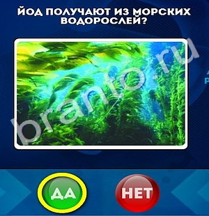 Да или Нет решения Уровень 792