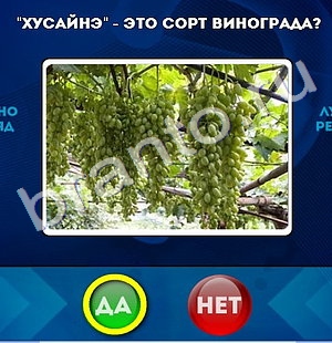 Игра Да или Нет подсказки Уровень 798