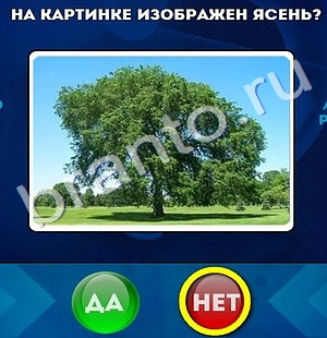 игра Да или Нет ответ на Уровень 800