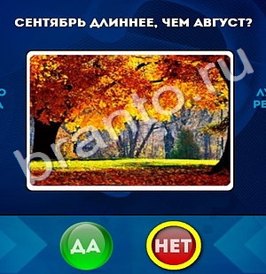 Игра Да или Нет подсказки Уровень 808