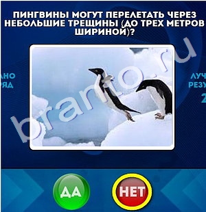 Да или Нет игра ответы в одноклассниках Уровень 817