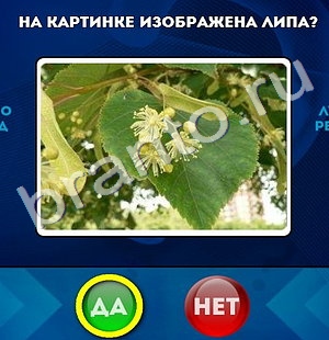 игра Да или Нет ответ на Уровень 820