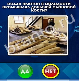 Да или Нет игра помощь Уровень 825
