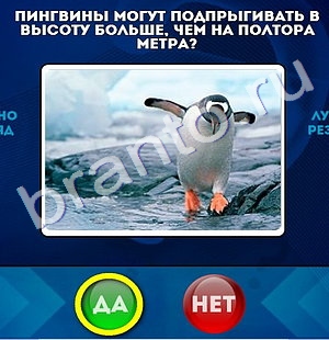 игра Да или Нет помощь Уровень 839