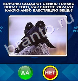 игра Да или Нет ответ на Уровень 840