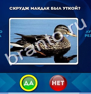ответы на игру Да или Нет в одноклассниках Уровень 931