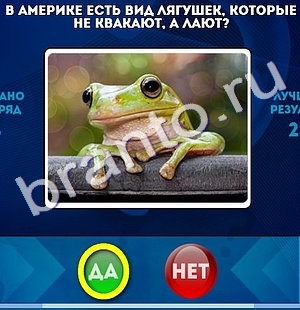 ответы к игре Да или Нет Уровень 935