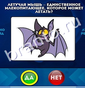 Да или Нет решения Уровень 942