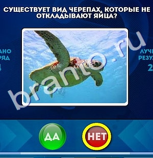 Да или Нет игра помощь Уровень 945