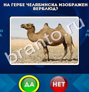 решебник на игру Да или Нет Уровень 951