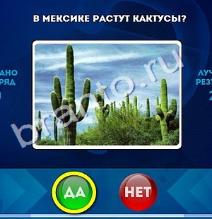 Да или Нет игра ответы в одноклассниках Уровень 967