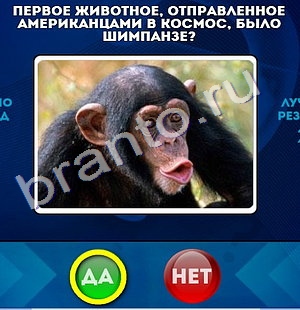 Одноклассники Да или Нет ответы Уровень 968