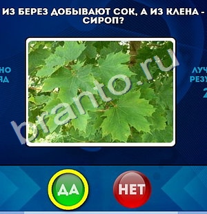 Да или Нет решения Уровень 972