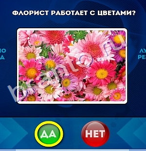 Да или Нет игра ответы Уровень 973