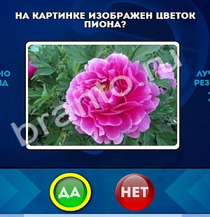 Да или Нет игра помощь Уровень 975