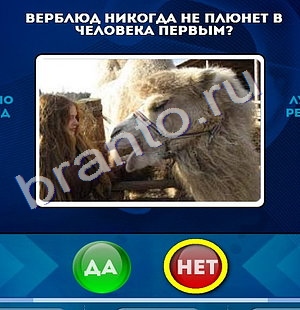 игра Да или Нет ответ на Уровень 990