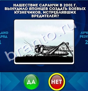 Подсказки на игру Да или Нет Уровень 992