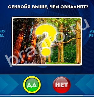 Да или Нет игра помощь Уровень 1035