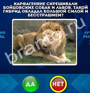 Игра Да или Нет подсказки Уровень 1038