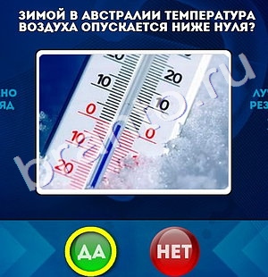 решебник на игру Да или Нет Уровень 1041
