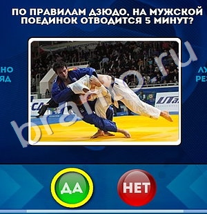 Да или Нет решения Уровень 1042