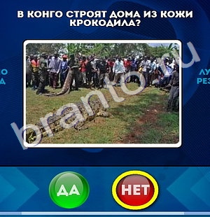 игра Да или Нет ответ на Уровень 1050