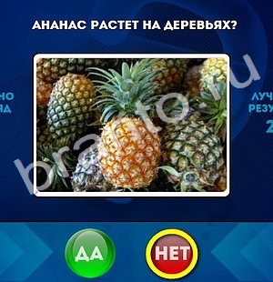 Помощь на игру ВК Да или Нет Уровень 1054