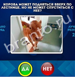 Да или Нет игра ответы в одноклассниках Уровень 1057