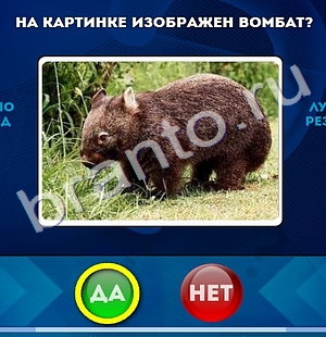 Да или Нет подсказки в контакте Уровень 1059