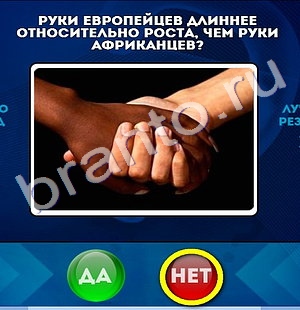 Да или Нет решения Уровень 1062