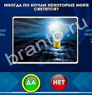 Да или Нет игра помощь Уровень 1065