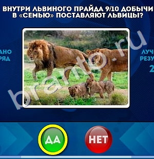 Игра Да или Нет ответы Уровень 1067