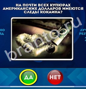 Игра Да или Нет подсказки Уровень 1078