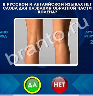 ответы к игре Да или Нет Уровень 1085