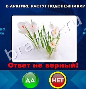 Да или Нет подсказки в контакте Уровень 1089