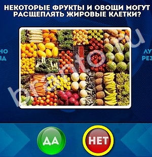 игра Да или Нет помощь Уровень 1109