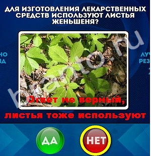 Одноклассники Да или Нет ответы Уровень 1178