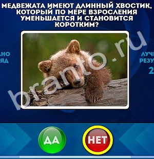 Да или Нет игра подсказки Уровень 1194