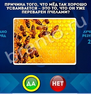 решебник на игру Да или Нет Уровень 1211