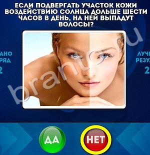 Игра Да или Нет ответы Уровень 1217