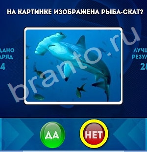 игра Да или Нет помощь Уровень 1219