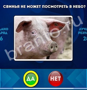 решебник на игру Да или Нет Уровень 1221