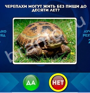 Да или Нет игра ответы Уровень 1223